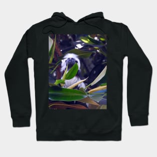 Cotton-top Tamarin Hoodie